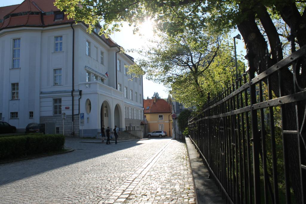 فندق U Parku Český Krumlov المظهر الخارجي الصورة